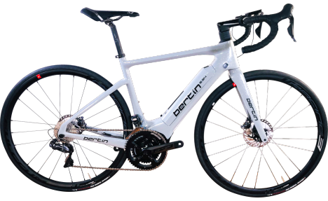 VAE E-34 Route carbon Moteur Polini EP3+ GP 80NM